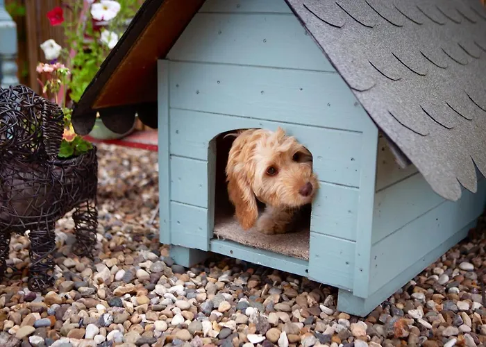 The Cherries בית נופש *