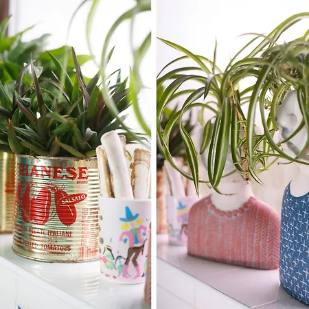 The Cherries Nyaraló