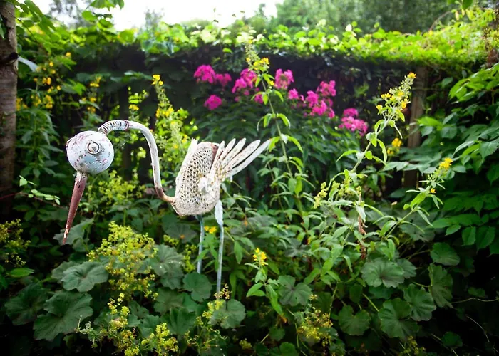 The Cherries ヨーク